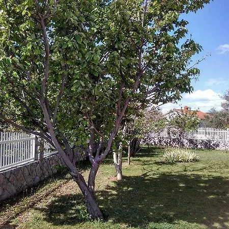 Vila Kraljica *